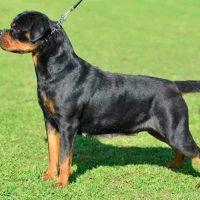 servicesHKDesignedtoimpress1