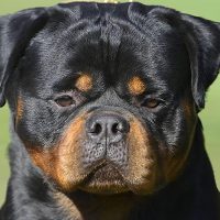 servicesHKDesignedtoimpress3